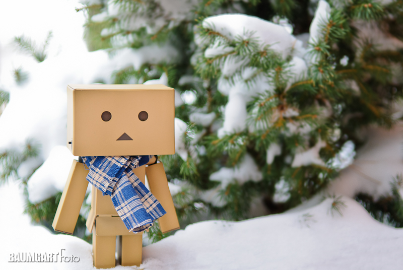 tags blizzard Danboard photography snow